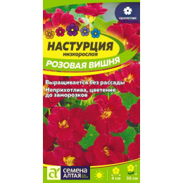 Цветы Настурция Розовая вишня низкоросл./Агрофирма 'Семена Алтая'/семена упакованы в цветном пакете 1 гр.