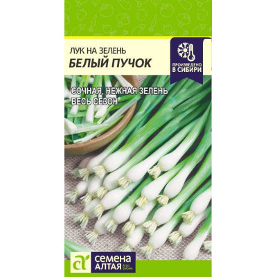 Лук на зелень Белый Пучок/Агрофирма 'Семена Алтая'/семена упакованы в цветном пакете 0,5 гр. НОВИНКА!
