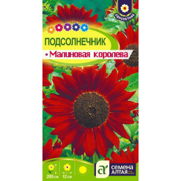 Цветы Подсолнечник Малиновая Королева/Агрофирма 'Семена Алтая'/семена упакованы в цветном пакете 0,5 гр.
