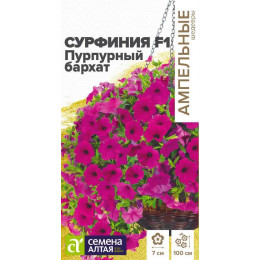 Цветы Сурфиния F1 Пурпурный Бархат/Агрофирма 'Семена Алтая'/семена упакованы в цветном пакете 5 шт.