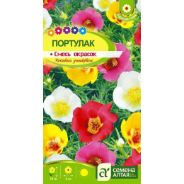 Цветы Портулак Смесь Окрасок/Агрофирма 'Семена Алтая'/семена упакованы в цветном пакете 0,1 гр.