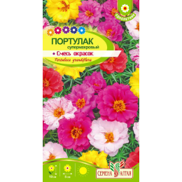 Цветы Портулак Супермахровый Смесь окрасок/Агрофирма 'Семена Алтая'/семена упакованы в цветном пакете 0,1 гр.