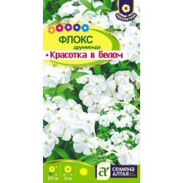 Цветы Флокс Красотка в белом Друммонда/Агрофирма 'Семена Алтая'/семена упакованы в цветном пакете 0,1 гр.