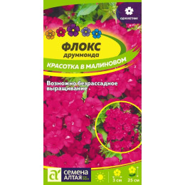 Цветы Флокс Красотка в малиновом Друммонда/Агрофирма 'Семена Алтая'/семена упакованы в цветном пакете 0,1 гр.