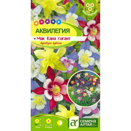 Цветы Аквилегия Маккана Гигант/Агрофирма 'Семена Алтая'/семена упакованы в цветном пакете 0,1 гр. многолетник