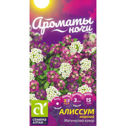 Цветы Алиссум Магический Ковер/Агрофирма 'Семена Алтая'/семена упакованы в цветном пакете 0,1 гр. Ароматы ночи