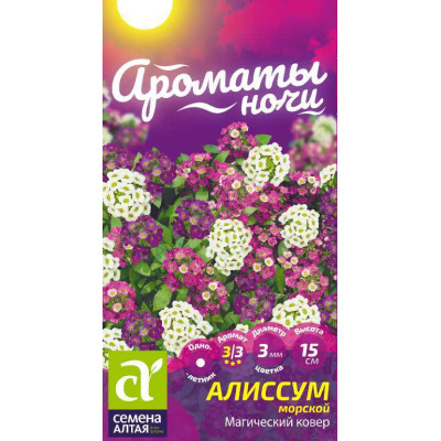 Цветы Алиссум Магический Ковер/Агрофирма 'Семена Алтая'/семена упакованы в цветном пакете 0,1 гр. Ароматы ночи