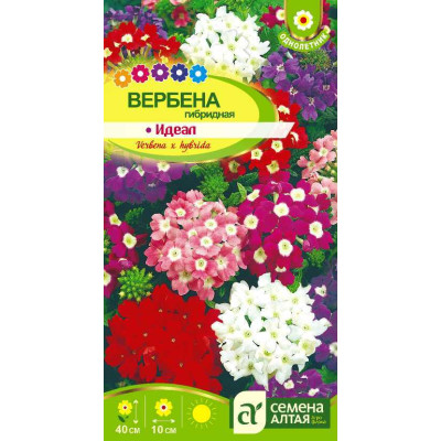 Цветы Вербена Идеал гибридная/Агрофирма 'Семена Алтая'/семена упакованы в цветном пакете 0,1гр.