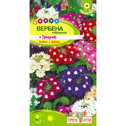 Цветы Вербена Триумф гибридная/Агрофирма 'Семена Алтая'/семена упакованы в цветном пакете 0,1 гр.
