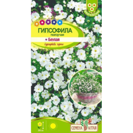Цветы Гипсофила ползучая Белая/Агрофирма 'Семена Алтая'/семена упакованы в цветном пакете 0,2 гр. многолетник