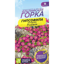 Цветы Гипсофила ползучая Розовая/Агрофирма 'Семена Алтая'/семена упакованы в цветном пакете 0,3 гр. многолетник Альпийская горка