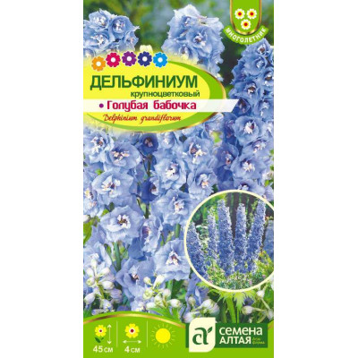 Цветы Дельфиниум Голубая Бабочка карликовый/Агрофирма 'Семена Алтая'/семена упакованы в цветном пакете 0,1 гр. многолетник
