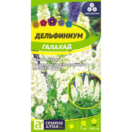Цветы Дельфиниум Галахад/Агрофирма 'Семена Алтая'/семена упакованы в цветном пакете 0,1 гр. многолетник