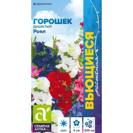 Цветы Душистый горошек Роял/Агрофирма 'Семена Алтая'/семена упакованы в цветном пакете 0,5 гр. Вьющиеся растения