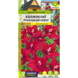 Цветы Квамоклит Рубиновый ковер перистый/Агрофирма 'Семена Алтая'/семена упакованы в цветном пакете 0,2 гр. Вьющиеся растения