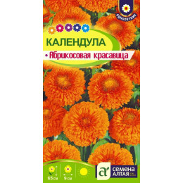 Цветы Календула Абрикосовая красавица/Агрофирма 'Семена Алтая'/семена упакованы в цветном пакете 0,5 гр.