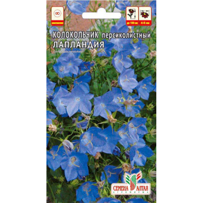 Цветы Колокольчик персиколистный Лапландия/Агрофирма 'Семена Алтая'/семена упакованы в цветном пакете 0,1 гр. многолетник