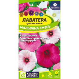 Цветы Лаватера Мальвина смесь/Агрофирма 'Семена Алтая'/семена упакованы в цветном пакете 0,2 гр.