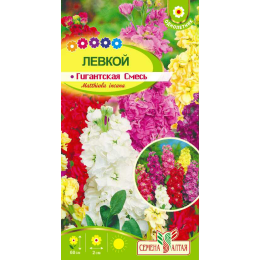 Цветы Левкой Гигантская Смесь окрасок/Агрофирма 'Семена Алтая'/семена упакованы в цветном пакете 0,2 гр.