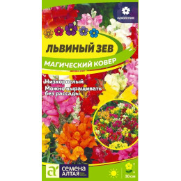 Цветы Львиный зев Магический Ковер/Агрофирма 'Семена Алтая'/семена упакованы в цветном пакете 0,2 гр.