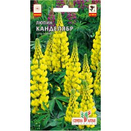 Цветы Люпин Канделябр/Агрофирма 'Семена Алтая'/семена упакованы в цветном пакете 0,3 гр. многолетник