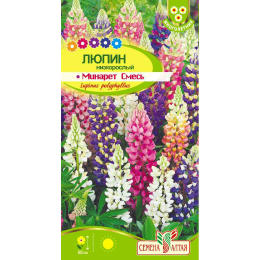 Цветы Люпин Минарет/Агрофирма 'Семена Алтая'/семена упакованы в цветном пакете 0,3 гр. многолетник