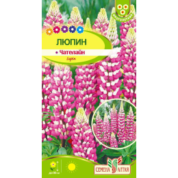 Цветы Люпин Чателайн/Агрофирма 'Семена Алтая'/семена упакованы в цветном пакете 0,3 гр. многолетник