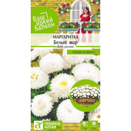 Цветы Маргаритка Белый шар/Агрофирма 'Семена Алтая'/семена упакованы в цветном пакете 0,05 гр. Ваш яркий балкон