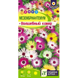 Цветы Мезембриантемум Волшебный ковер/Агрофирма 'Семена Алтая'/семена упакованы в цветном пакете 0,1