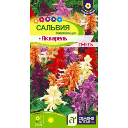 Цветы Сальвия Акварель/Агрофирма 'Семена Алтая'/семена упакованы в цветном пакете 0,1 гр.
