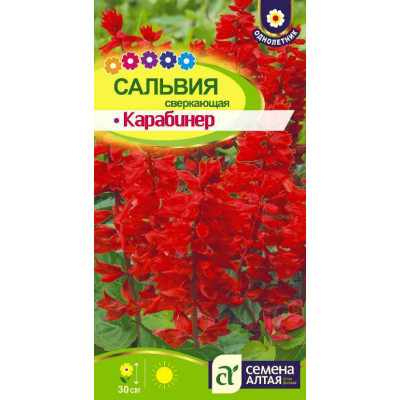 Цветы Сальвия Карабинер сверкающая/Агрофирма 'Семена Алтая'/семена упакованы в цветном пакете 0,1 гр.