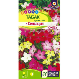 Цветы Табак Сенсация душистый/Агрофирма 'Семена Алтая'/семена упакованы в цветном пакете 0,1 гр.