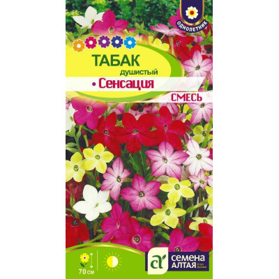 Цветы Табак Сенсация душистый/Агрофирма 'Семена Алтая'/семена упакованы в цветном пакете 0,1 гр.