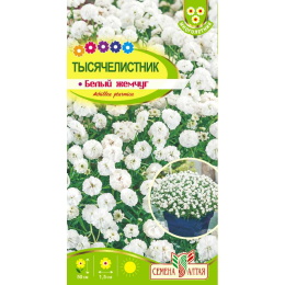 Цветы Тысячелистник Белый жемчуг/Агрофирма 'Семена Алтая'/семена упакованы в цветном пакете 0,1 гр. многолетник