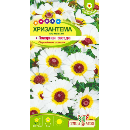 Цветы Хризантема Полярная Звезда килеватая/Агрофирма 'Семена Алтая'/семена упакованы в цветном пакете 0,3 гр.