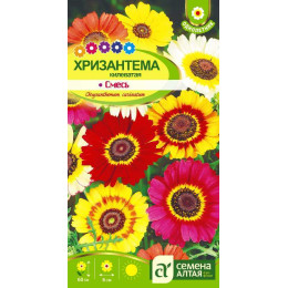 Цветы Хризантема Смесь килеватая/Агрофирма 'Семена Алтая'/семена упакованы в цветном пакете 0,3 гр.