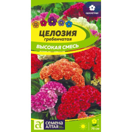 Цветы Целозия Высокая смесь гребенчатая/Агрофирма 'Семена Алтая'/семена упакованы в цветном пакете 0,1 гр.