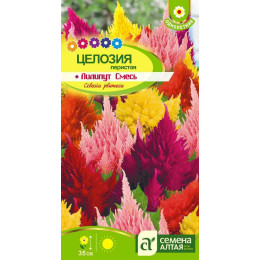 Цветы Целозия Лилипут смесь Перистая/Агрофирма 'Семена Алтая'/семена упакованы в цветном пакете 0,1 гр.