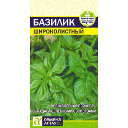 Зелень Базилик Широколистный/Агрофирма 'Семена Алтая'/семена упакованы в цветном пакете 0,3 гр.