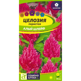 Цветы Целозия перистая Алый шлейф/Агрофирма 'Семена Алтая'/семена упакованы в цветном пакете 0,2 гр.