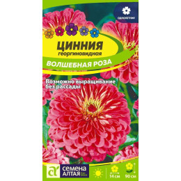 Цветы Цинния Волшебная Роза/Агрофирма 'Семена Алтая'/семена упакованы в цветном пакете 0,3 гр.