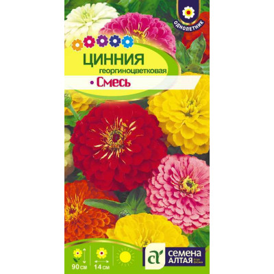 Цветы Цинния Георгиноцветковая смесь/Агрофирма 'Семена Алтая'/семена упакованы в цветном пакете 0,3 гр.
