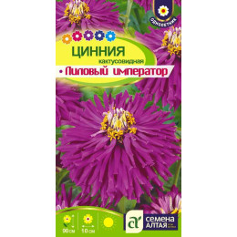 Цветы Цинния Лиловый Император кактусовидная/Агрофирма 'Семена Алтая'/семена упакованы в цветном пакете 0,2 гр.