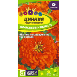 Цветы Цинния Оранжевый Король/Агрофирма 'Семена Алтая'/семена упакованы в цветном пакете 0,3 гр.
