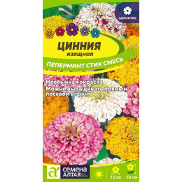 Цветы Цинния Пеперминт Стик/Агрофирма 'Семена Алтая'/семена упакованы в цветном пакете 0,3 гр.
