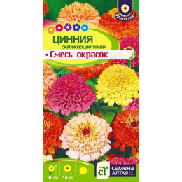 Цветы Цинния Скабиозоцветковая Смесь окрасок/Агрофирма 'Семена Алтая'/семена упакованы в цветном пакете 0,3 гр.