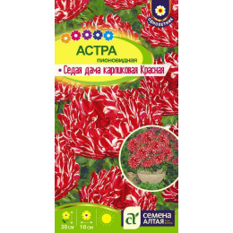 Цветы Астра Седая Дама Красная карликовая/Агрофирма 'Семена Алтая'/семена упакованы в цветном пакете 0,2 гр.