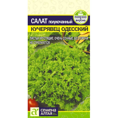 Зелень Салат Кучерявец Одесский/Агрофирма 'Семена Алтая'/семена упакованы в цветном пакете 0,5 гр.