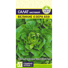 Зелень Салат Великие Озера-659/Агрофирма 'Семена Алтая'/семена упакованы в цветном пакете 0,5 гр.
