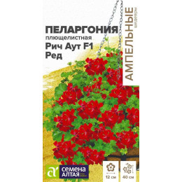 Цветы Пеларгония Рич Аут Ред плющелистная/Агрофирма 'Семена Алтая'/семена упакованы в цветном пакете 3 шт. Ампельные шедевры НОВИНКА